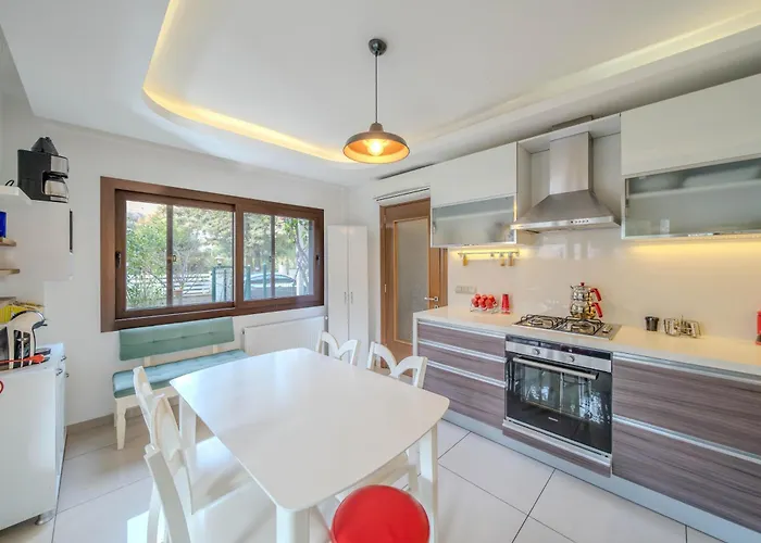 Floransa Icmeler فيلة