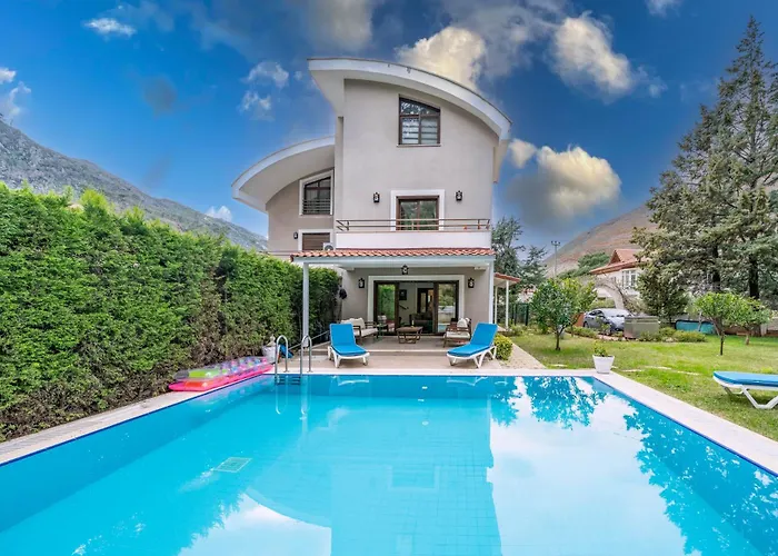 فيلة Floransa Icmeler *