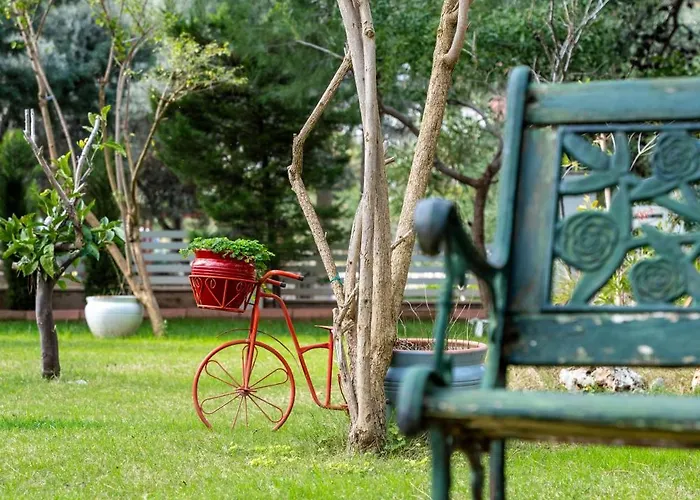 فيلة Floransa Icmeler *